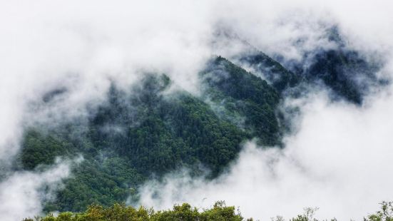 猫鼻梁观景台海拔3400米，是四姑娘山的最佳观景点。七月的雨