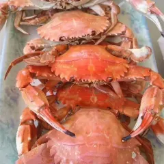 漁舍小鎮漁家樂用戶圖片