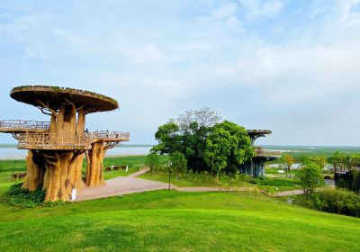 Wucheng Migratory Bird Town, Poyang Lake