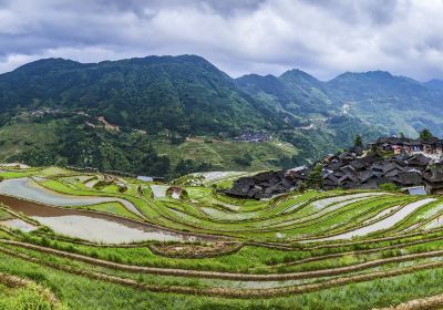 Yueliang Mountain