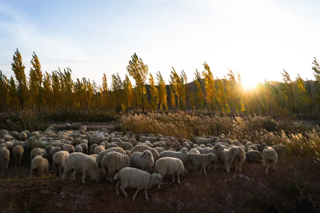 3-звездочные отели в г. Ухай