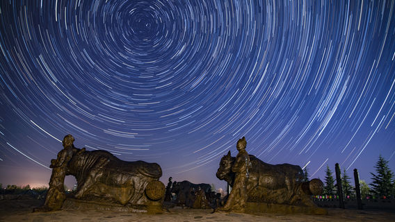 Yongji Tang Iron Cow Museum