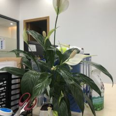 福照楼汽锅鸡饭店(龙腾店) User Photo