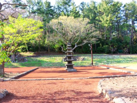 에어부산 울산-제주