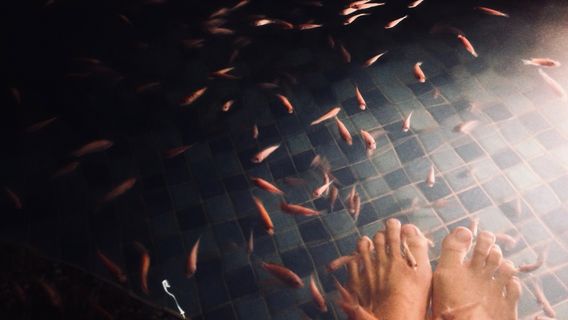 Legendary Hot Spring Fish