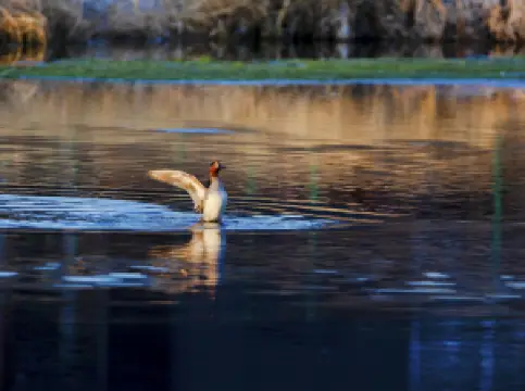 Popular Best Things to Do in Heihe