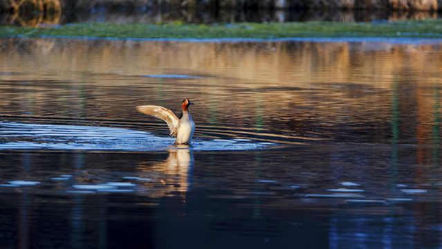 Wudalianchi Beauty Spot