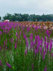 Kouquan Botanical Garden