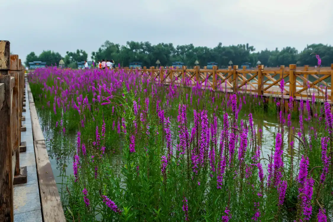 Hotel in zona Datong Botanical Garden
