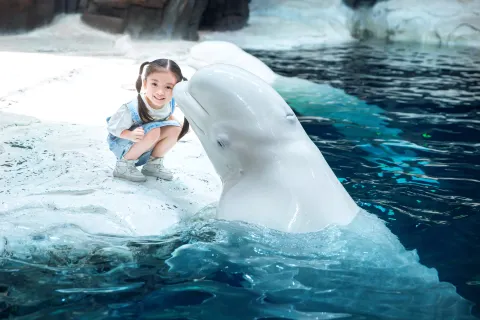 Hang Zhou Chang Qiao Polar Ocean Park