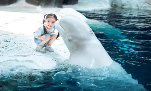 Hang Zhou Chang Qiao Polar Ocean Park
