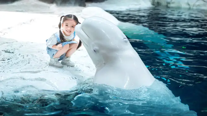 4_杭州長喬極地海洋公園
