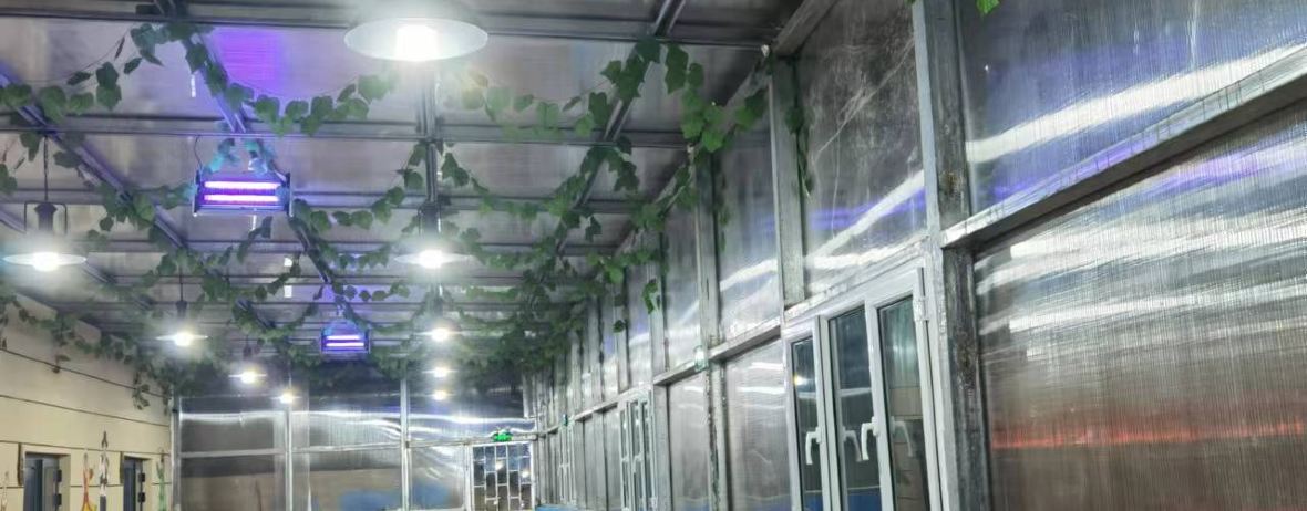 语录塔餐饮农家院