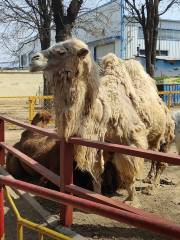 Weifang Zoo