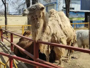 Weifang Zoo