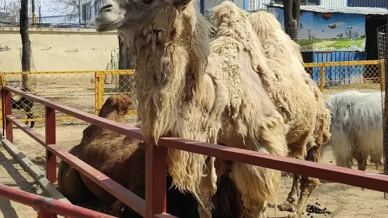 濰坊動物園