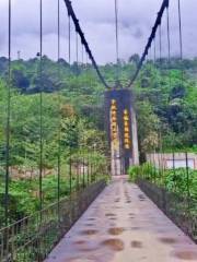 Motuo Liberation Bridge