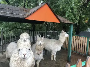 Benxi Zoo