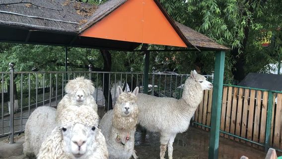 Зоопарк Бен-Гуань