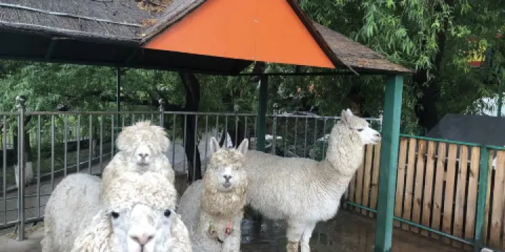 本溪動物園