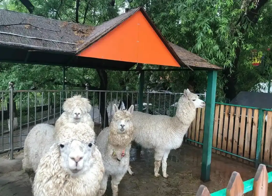 Hotels in der Nähe von Benxi Zoo