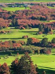 Edzell Golf Club