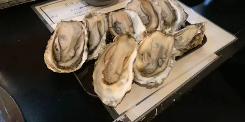 5坪gotbo薄野店