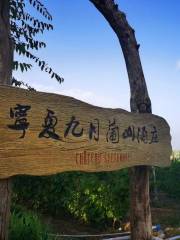 九月蘭山酒莊葡萄園