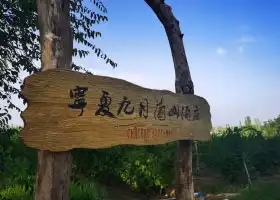 九月蘭山酒莊葡萄園