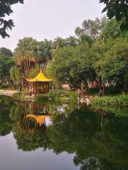 Weimin Park