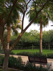 Al Mankhool Park