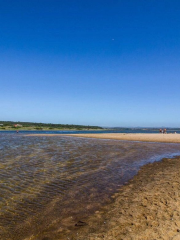 Lagoas de Santo André e da Sancha Nature Reserve