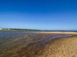 Lagoas de Santo André e da Sancha Nature Reserve