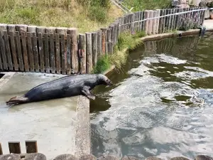 Charlotta Valley Seal Sanctuary