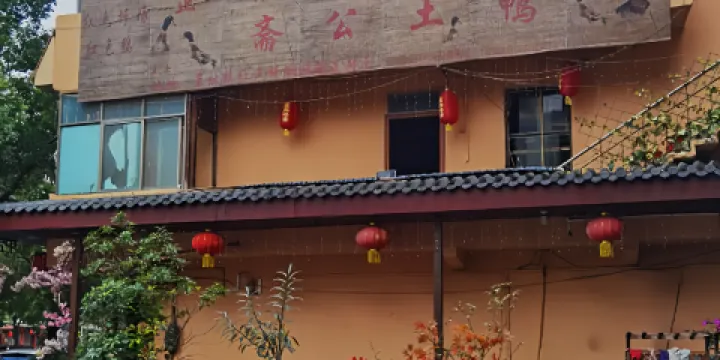 草林正宗齋公鴨