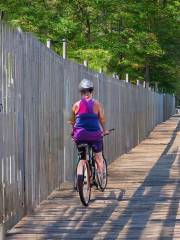 House Creek Greenway Trail