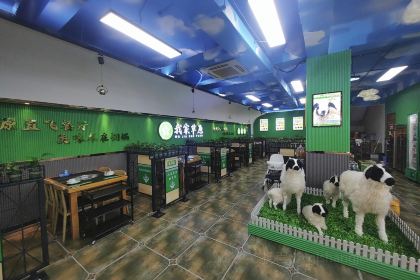 我家草原铜锅涮肉