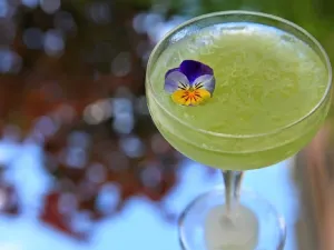 Le Verre a Monique