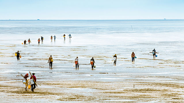 Beachcombing in Qingdao