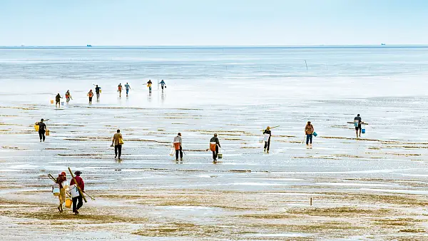Beachcombing in Qingdao