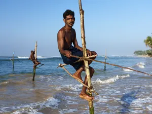 Stilt Fisherman