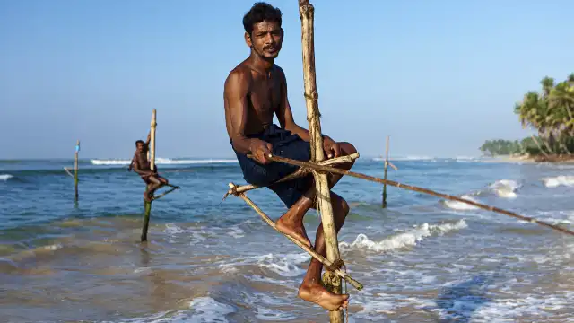 Stilt Fisherman sri lanka