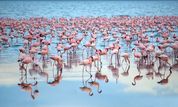 Compare 5 airports near Nakuru