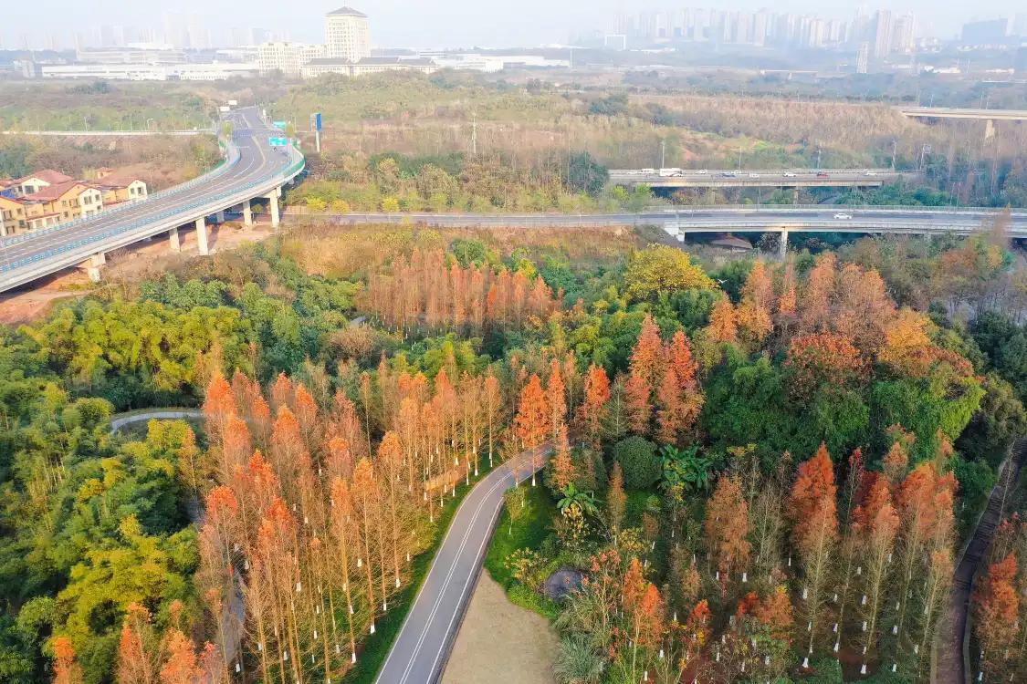 Hotels near Jiuquhe Wetland Park
