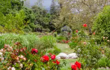 Descanso Gardens