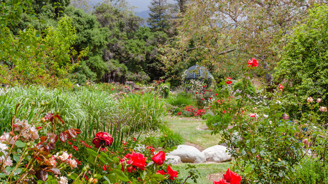 Descanso Gardens