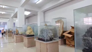 Shandong Tianyu Museum of Natural History
