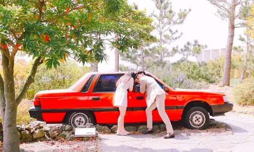 Jeju Love Land