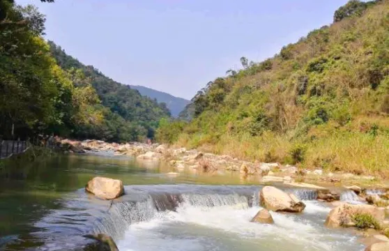 奇石河門票長者