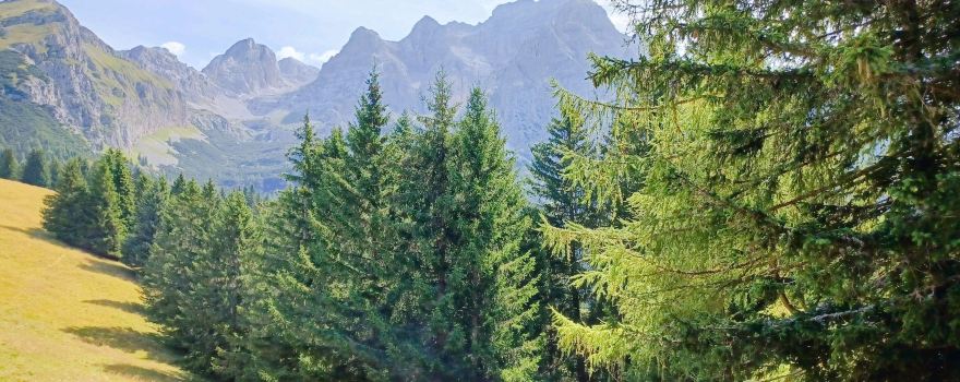 Naturpark Adamello-Brenta